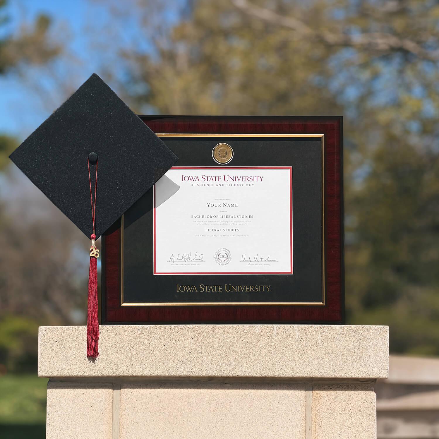 Official Iowa State Diploma Frame